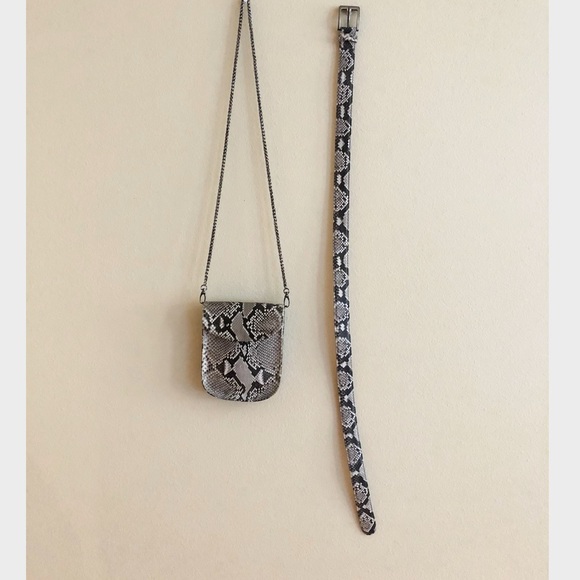 Python Purse & Belt - Picture 2 of 8
